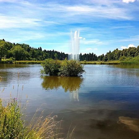 Ferienappartement Balbiani Hahnenklee-Harz 戈斯拉尔 外观 照片